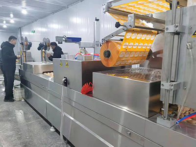 咸鴨蛋拉伸真空包裝機(jī)